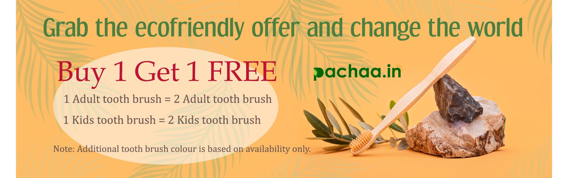 Bamboo Tooth brush offer